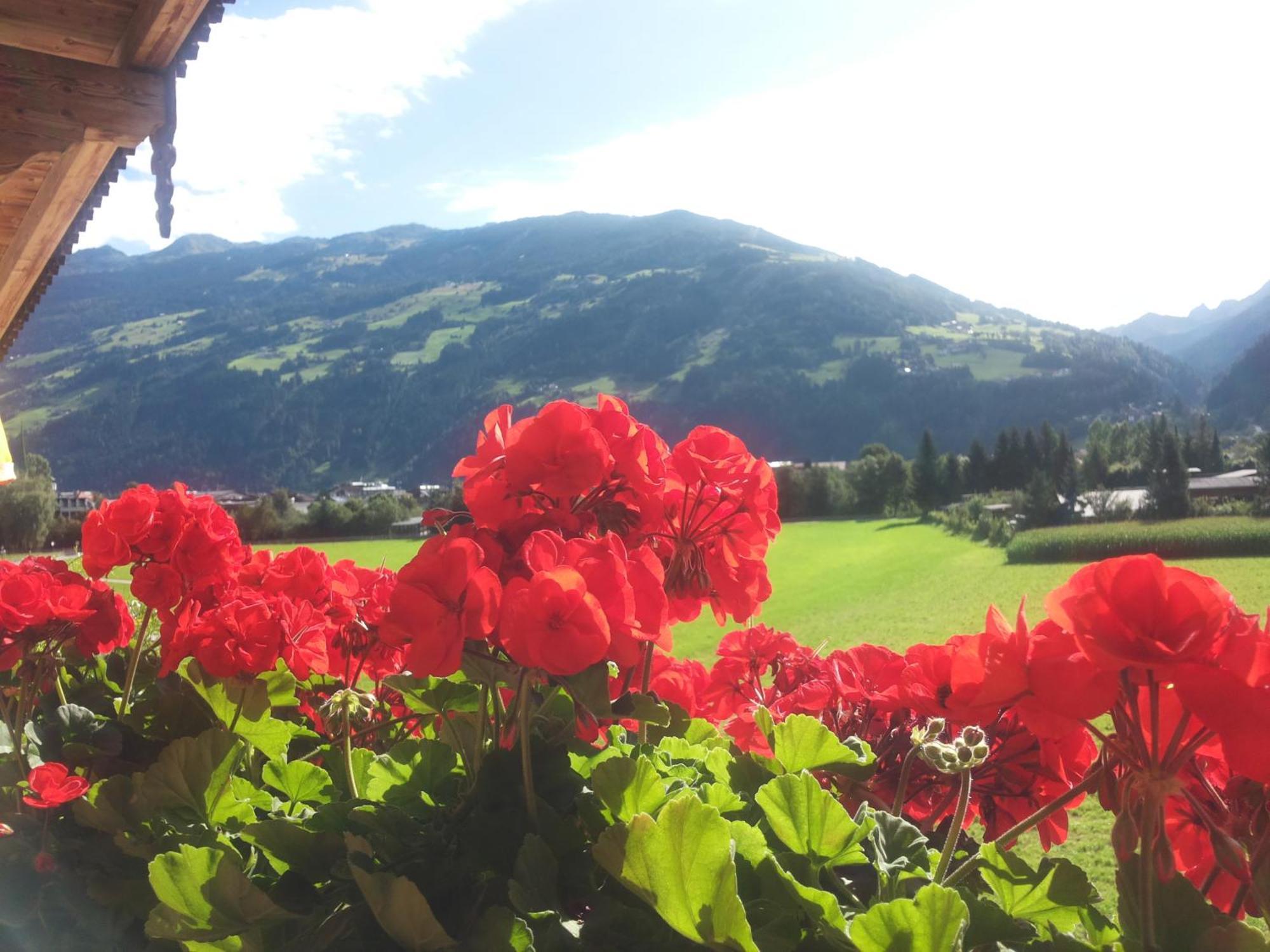 Tirol Appartement Haus Zillertal Zell am Ziller Δωμάτιο φωτογραφία