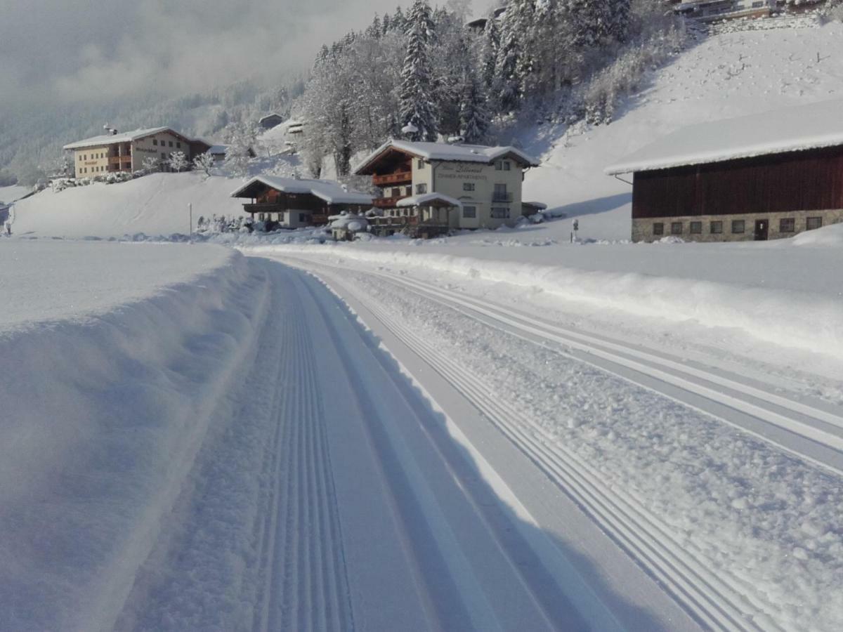 Tirol Appartement Haus Zillertal Zell am Ziller Εξωτερικό φωτογραφία
